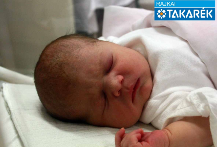 Németh Nóra Emília, Farád