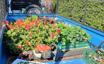 Virágosítás, közösségi terek felújítása