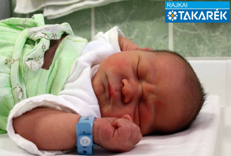 Licskai Dominik, Bősárkány