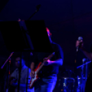 Szigetköz ízei, vármegye borai fesztivál / Pink Floyd Emlékzenekar koncertje (Fotó: Horváth Attila)