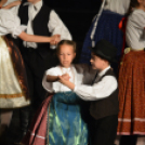 Nyárcsalogató (Fotó: Nagy Mária)