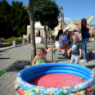 KULT-UTCA (Fotó: Bánhegyi István) 