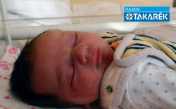 Kovács-Slud Hanna, Bágyogszovát