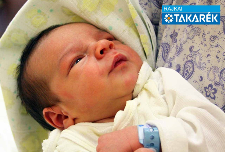 Batyanek Zétény, Mosonmagyaróvár