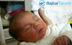 Balogh Dávid, Mosonmagyaróvár