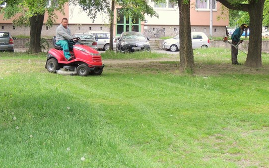 Parkfenntartás júniusban