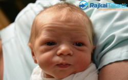 Somarakis Szofi, 2500 gr. Hegyeshalom