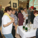 XIX. Mosonmagyaróvári Civil Nap 