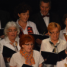 Jótékonysági műsor a Családok Átmeneti Otthona javára (Fotó: Nagy Mária)