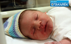 Rigó Olivér, Mosonmagyaróvár