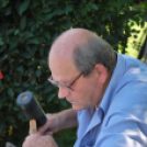 IV. Karolina Day (Fotó: Nagy Mária)