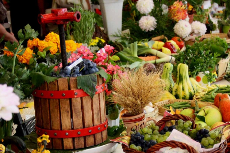 Termény- és virágkiállítás nyílik a Flesch Károly Kulturális Központ aulájában