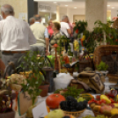 Termény- és virágkiállítás 