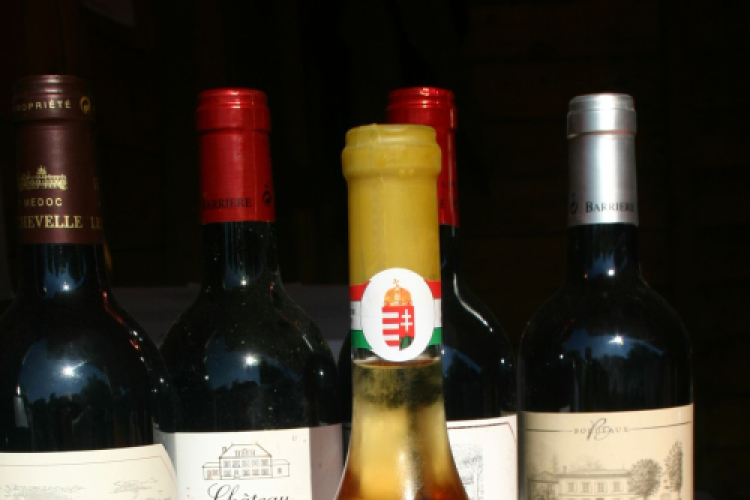 IX. Szigetköz ízei, Vármegyék borai Fesztivál (fotó: Stipkovits Veronika)