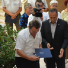 Legszebb konyhakertek (Fotó: Nagy Mária)