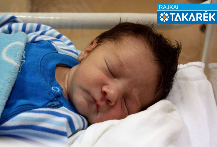 Cséfalvay Hunor László, Dunasziget