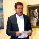 Moson Megyei Tárlat 2017 - Szigetköz Művésztelep 2017