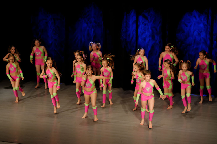 Jótékonysági műsor - Fehér és Máltai Szeretetszolgálat az Éltes iskola javára (Fotó: Horváth Attila)