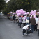 Egészség Hídja Összefogás - Lajtahidi séta