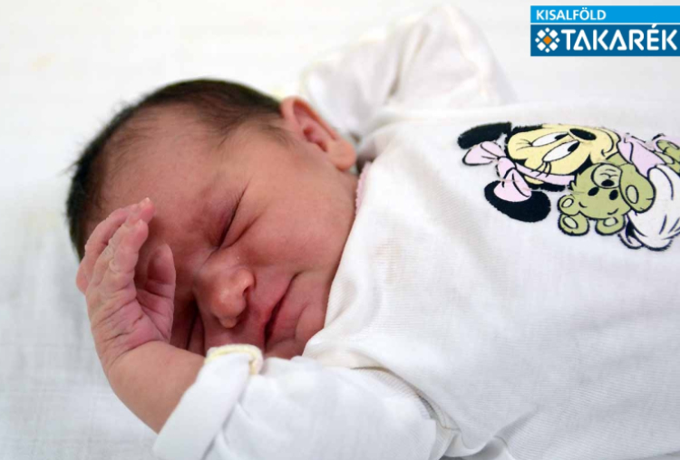 Tarsoly Rebeka, Levél