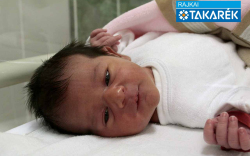 Flóra Eisan Melodi, Mosonmagyaróvár