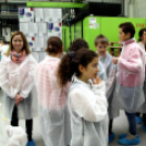 Kőrisfacsemetéket ültettek a diákok a Nolato Magyarország Kft telephelyén