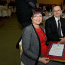 Virilista est 2015 Mosonmagyaróvár (Fotó: Horváth Attila)