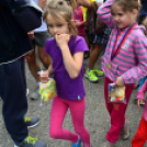 XII. Greiner Szigetköz Minimaraton (Fotó: Horváth Attila)