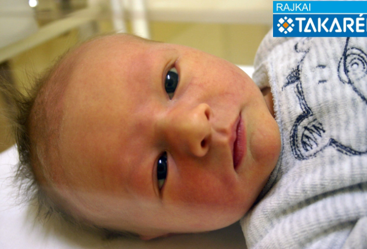 Szabó Barnabás, Várbalog