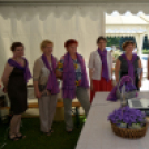 Entente Florale Day Mosonmagyaróvár - Virágzó Város Mosonmagyaróvár (Fotó: Bánhegyi István)