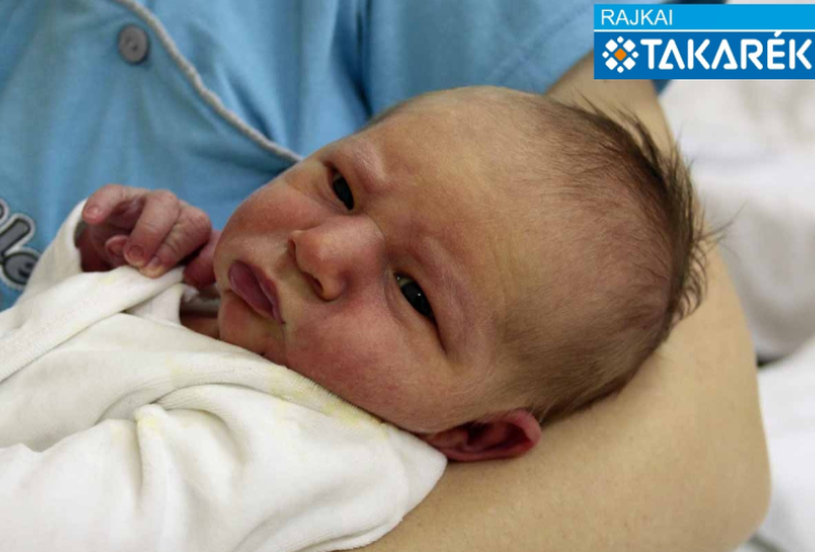 Hancz Olivér, Kisbodak