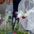 Apró kezek, csodakertek kertépítő verseny (Fotó: Horváth Attila)