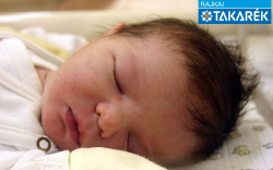 Andorka Gergő, Bősárkány