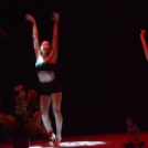 Magyar Kultúra Napja (Fotó: Nagy Mária)