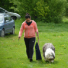 Agility Attilával (Fotó: Nagy Mária)