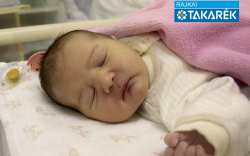 Purger Panna, Dunasziget