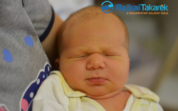 Steiner Göncöl, Halászi-Arak