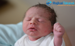 Farka Kitti, 2999 gr. Lébény