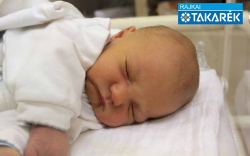 Fekete Vince, Mosonmagyaróvár