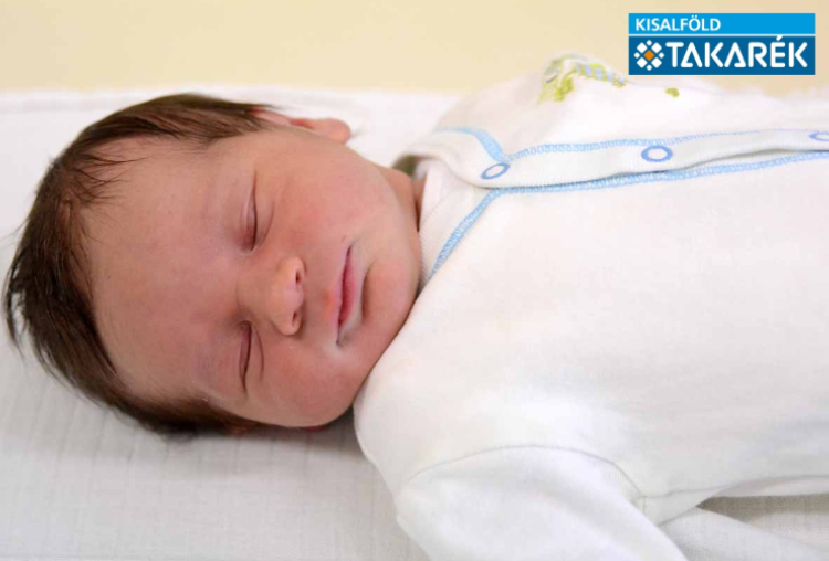 Farkas Eliot Lajos, Mosonmagyaróvár