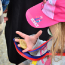 XII. Greiner Szigetköz Minimaraton (Fotó: Horváth Attila)