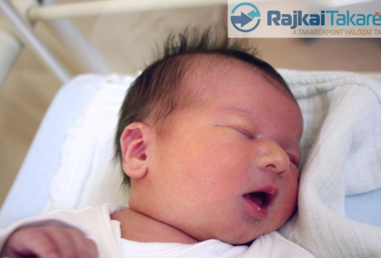 Juhász Maja, Mosonszolnok