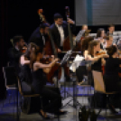 FLESCH KÁROLY NEMZETKÖZI HEGEDŰVERSENY