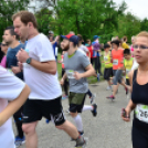 XII. Greiner Szigetköz Minimaraton (Fotó: Horváth Attila)