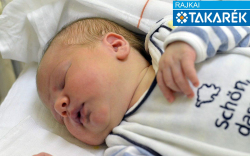 Tomasits Áron, Mosonmagyaróvár