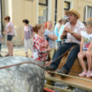 KULT-UTCA - Western Nap