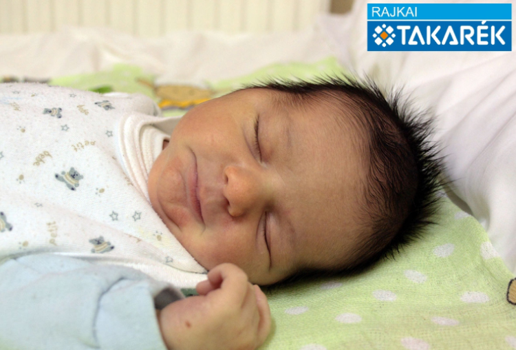 Novits-Kiss Olivér, Halászi