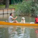 Nyárbúcsúztató Fesztivál (Fotó: Nagy Mária)