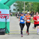 XII. Greiner Szigetköz Minimaraton (Fotó: Horváth Attila)