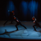 Jótékonysági műsor a Családok Átmeneti Otthona javára (Fotó: Nagy Mária)